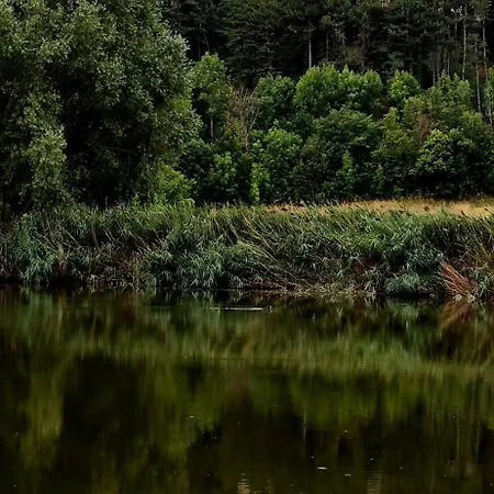 Festina Lente - Apartament