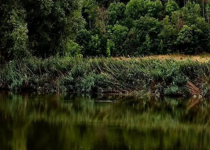 Festina Lente - Apartamento